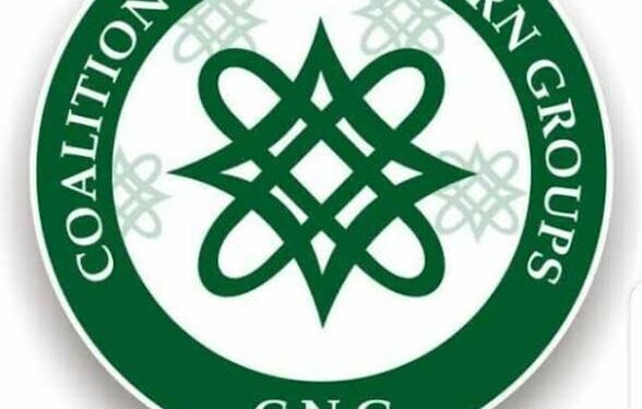 Insecurity: CNG warns against division, foreign influence