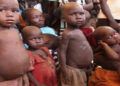 EU Support Helps 40,000 Malnourished Children in Yobe