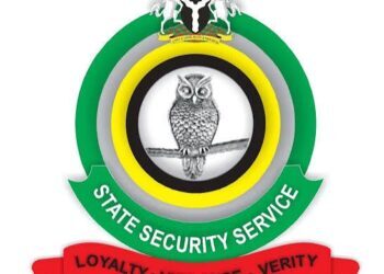 Bandits Plan Reprisals After Heavy Losses in Military, Zamfara Volunteer Force Operations That Killed Ado Aliero’s Son, 65 Others