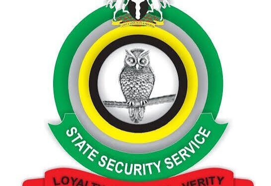 Bandits Plan Reprisals After Heavy Losses in Military, Zamfara Volunteer Force Operations That Killed Ado Aliero’s Son, 65 Others