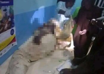 Air Force Probes Civilian Casualties After Borno Airstrike