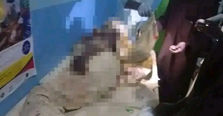 Air Force Probes Civilian Casualties After Borno Airstrike