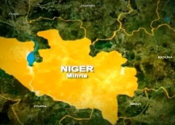 DNA Confirms Grandfather Fathered Teen’s Baby in Niger
