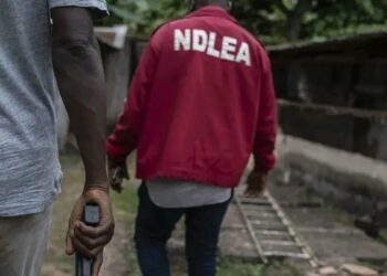NDLEA’s ‘Operation Sharar Mafaka’ Nets 52 Suspects