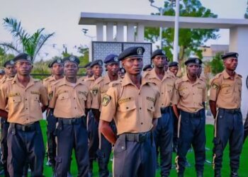 Bandits Plan Reprisals After Heavy Losses in Military, Zamfara Volunteer Force Operations That Killed Ado Aliero’s Son, 65 Others