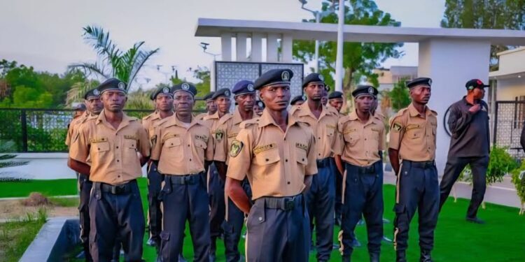 Bandits Plan Reprisals After Heavy Losses in Military, Zamfara Volunteer Force Operations That Killed Ado Aliero’s Son, 65 Others