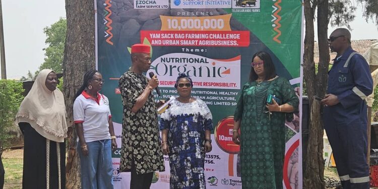 Urban Smart Farming Initiative Targets 10 Million Yams for Nigeria