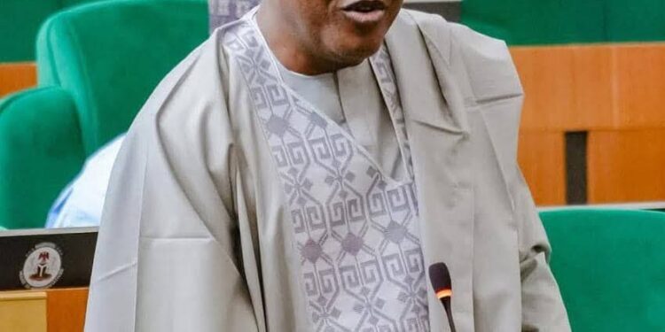 Social and Political Critic Rates Halims High