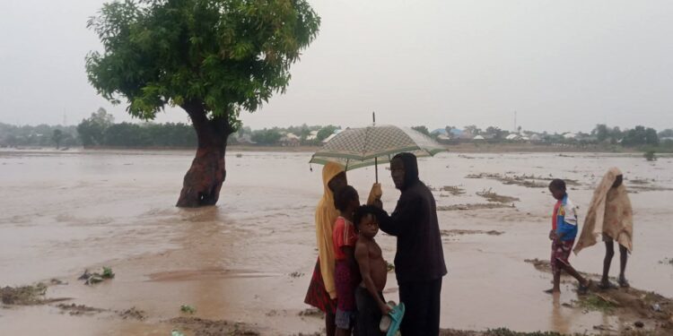 Jalingo Flood: Homes, Schools Submerged After Heavy Rain
