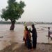 Jalingo Flood: Homes, Schools Submerged After Heavy Rain