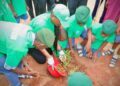 Customs Officers’ Wives  Launches Nationwide Tree Planting Campaign, Targets 1,000 Trees in 1 Hour
