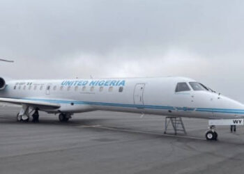 Bird Strike Grounds United Nigeria Airlines 