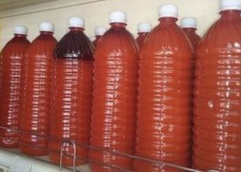 Nigeria’s Palm Oil Deficit Hits 1.1 Million Tonnes Despite Local Production