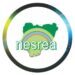 NESREA Shuts 30 Construction Sites in Abuja Over Environmental Breaches