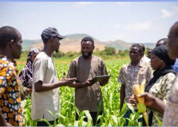 AGRA and Partners Advocate for “Human API” Infrastructure To Bridge Africa’s Extension Gap