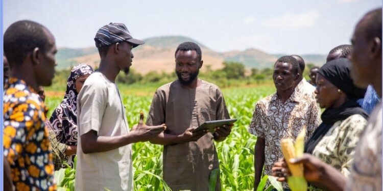 AGRA and Partners Advocate for “Human API” Infrastructure To Bridge Africa’s Extension Gap