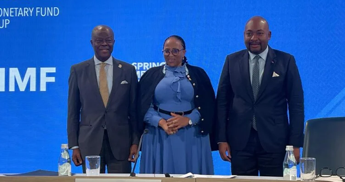 No IMF Bailout Needed Now, Edun Declares