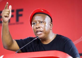South Africa’s Malema Jailed for Five Years