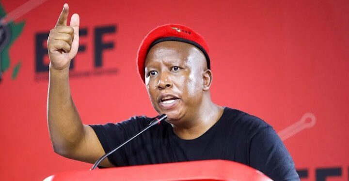 South Africa’s Malema Jailed for Five Years