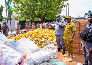 Customs Seizes ₦5bn Cannabis Haul in Ogun