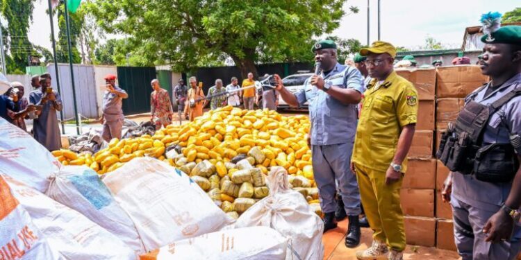Customs Seizes ₦5bn Cannabis Haul in Ogun