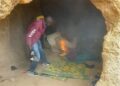 NDLEA Uncovers Drug Caves, Tunnels in Kano