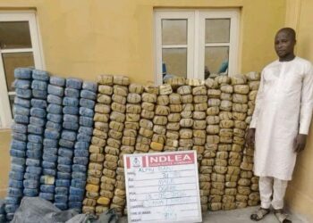 NDLEA Seizes Cocaine, Opioids Bound for UK and Australia