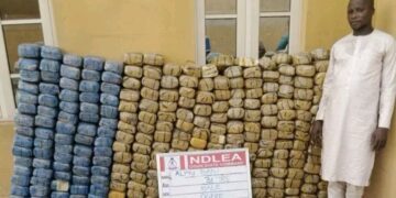 NDLEA Seizes Cocaine, Opioids Bound for UK and Australia