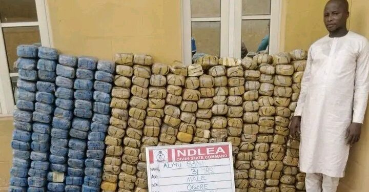NDLEA Seizes Cocaine, Opioids Bound for UK and Australia