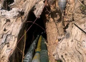 Northeast Troops Neutralise Terrorists, Rescue Two Kidnap Victims