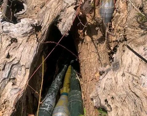 Northeast Troops Neutralise Terrorists, Rescue Two Kidnap Victims
