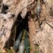 Northeast Troops Neutralise Terrorists, Rescue Two Kidnap Victims