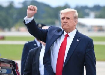 Trump acknowledges Nigerian government’s ‘partnership’ in killing of ISIS leader