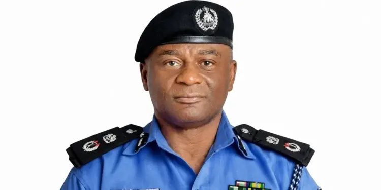 Nigeria Seeks UN Backing for State Police Reform