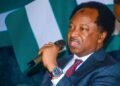 Shehu Sani and the Politics of Courage in Kaduna