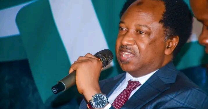 Shehu Sani and the Politics of Courage in Kaduna