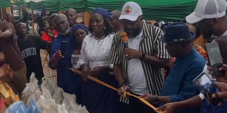 Fertiliser Subsidy Eases Cost Crunch for Abia Farmers