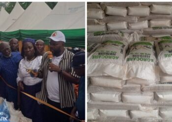 ‘Farming Relief’ as Abia Grassroots Initiative Rolls Out 10th Year of Subsidised Fertiliser