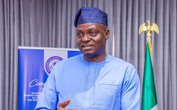 APC Deepening Internal Democracy, Says Chairman After Transparent Primary