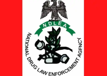 NDLEA Nabs Six Peddling Drugs on Bayero University Campus
