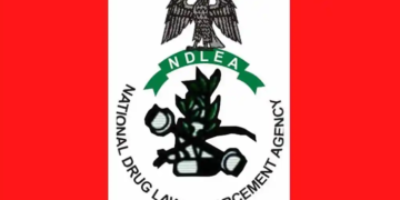NDLEA Nabs Six Peddling Drugs on Bayero University Campus