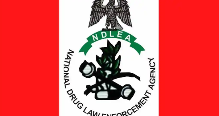NDLEA Nabs Six Peddling Drugs on Bayero University Campus