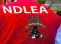 NDLEA Smashes FCT Drug Dens, Seizes Millions in Narcotics