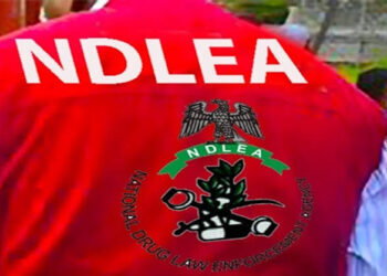 NDLEA Smashes FCT Drug Dens, Seizes Millions in Narcotics