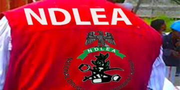 NDLEA Smashes FCT Drug Dens, Seizes Millions in Narcotics