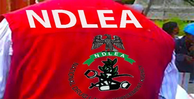 NDLEA Smashes FCT Drug Dens, Seizes Millions in Narcotics