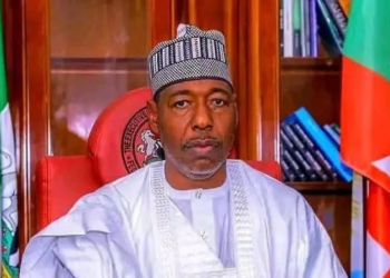 Cholera Outbreak Kills 37 Across 138 Borno Communities
