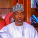 Cholera Outbreak Kills 37 Across 138 Borno Communities