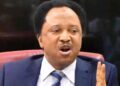 Shehu Sani: They Want Jonathan to Carry PDP’s Coffin, Not Rescue It
