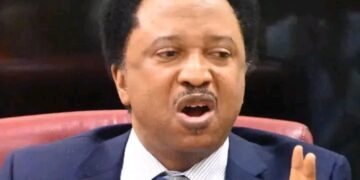Shehu Sani: They Want Jonathan to Carry PDP’s Coffin, Not Rescue It